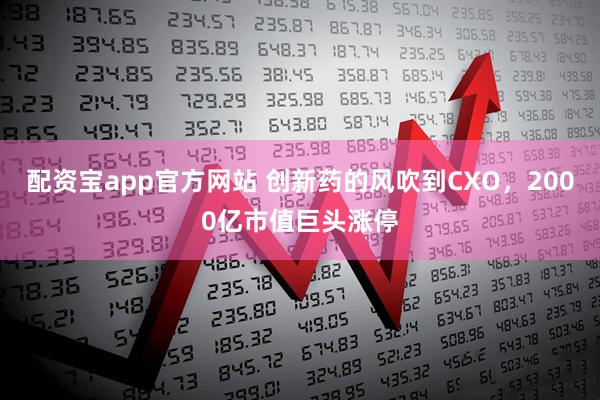配资宝app官方网站 创新药的风吹到CXO，2000亿市值巨头涨停