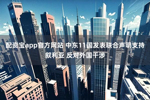 配资宝app官方网站 中东11国发表联合声明支持叙利亚 反对外国干涉
